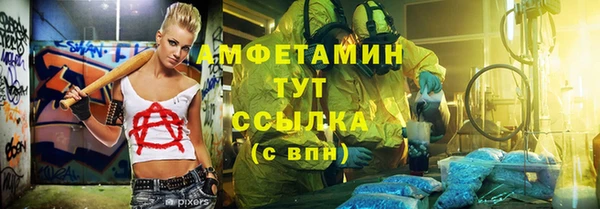 крисы Ростов