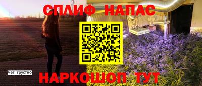 гашик Пенза