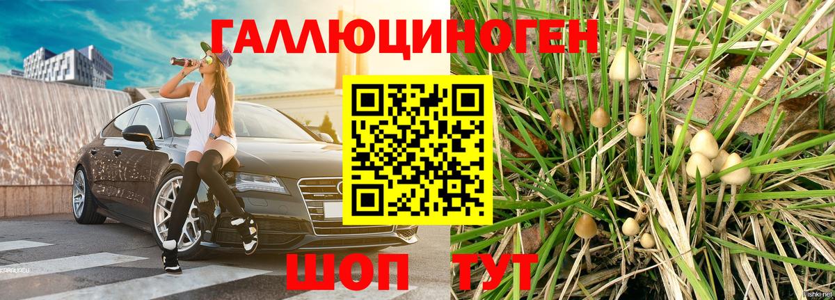 Псилоцибиновые грибы мухоморы Усолье-Сибирское