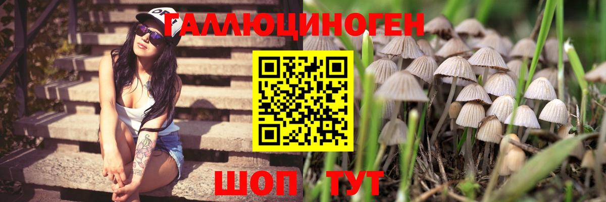 Псилоцибиновые грибы мухоморы  Вход с VPN  Усолье-Сибирское  Галлюциногенные грибы прущие грибы 